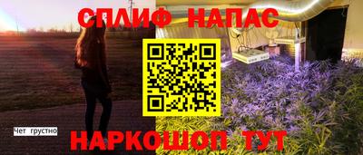 молекула духа Будённовск