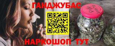 молекула духа Будённовск