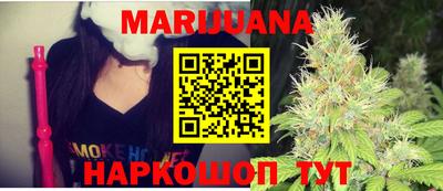 молекула духа Будённовск