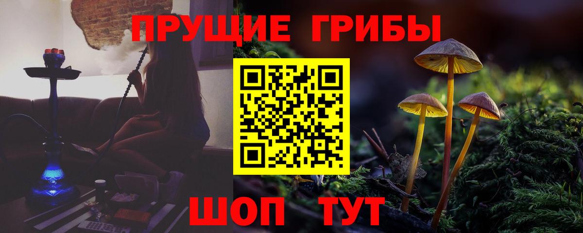 Ленинск-Кузнецкий  Псилоцибиновые грибы ЛСД  Вход с VPN  Галлюциногенные грибы Magic Shrooms 